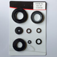 Engine Oil Seal kit H1 KH500